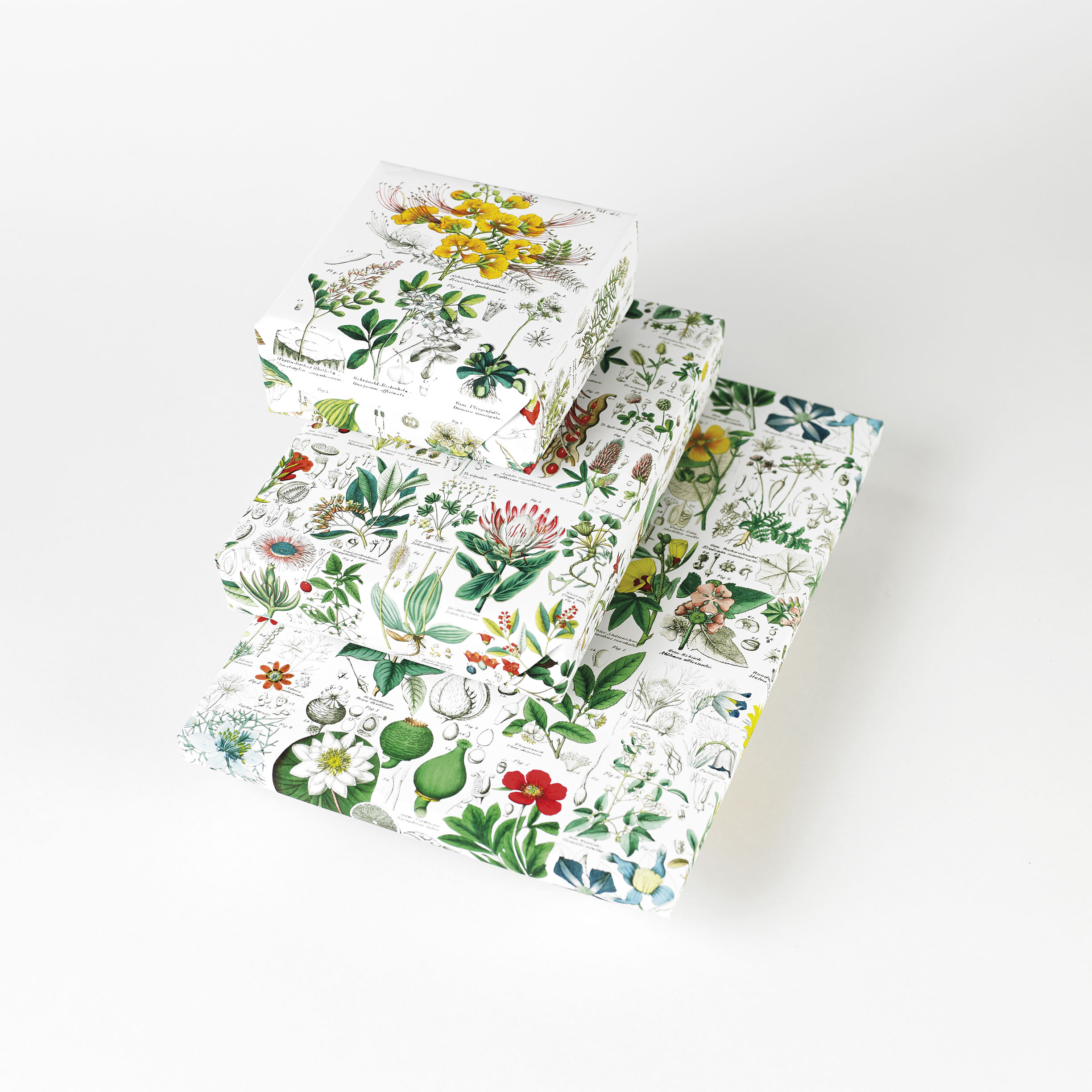 Flora, Gift&Creative Paper Book - 11