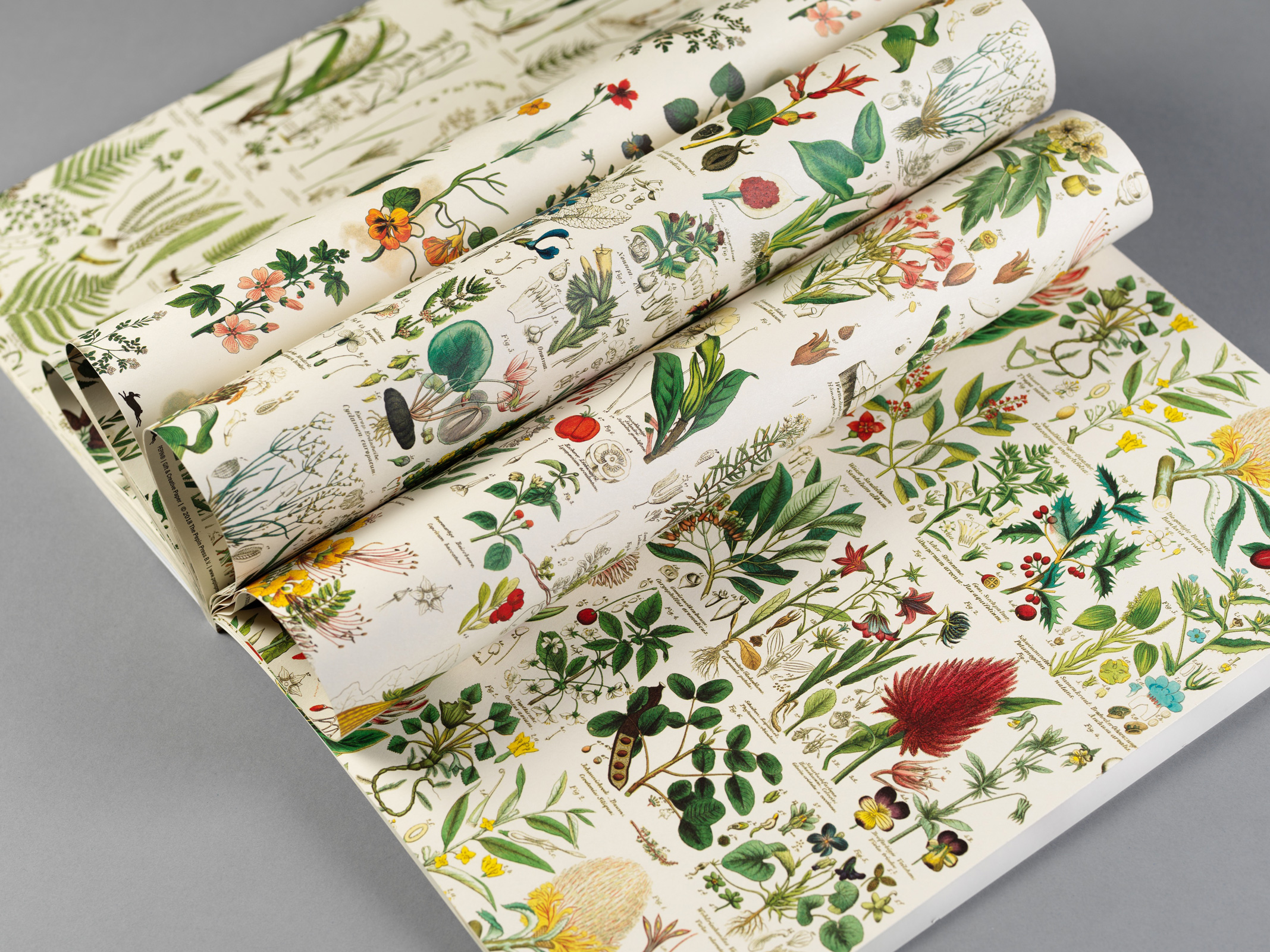 Flora, Gift&Creative Paper Book - 7
