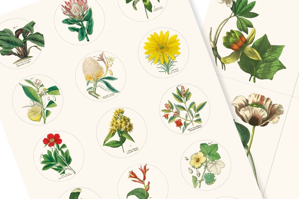 Flora, Labels, Stickers & Tapes - 6