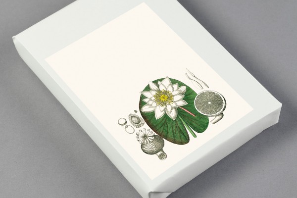 Flora, Labels, Stickers & Tapes - 5