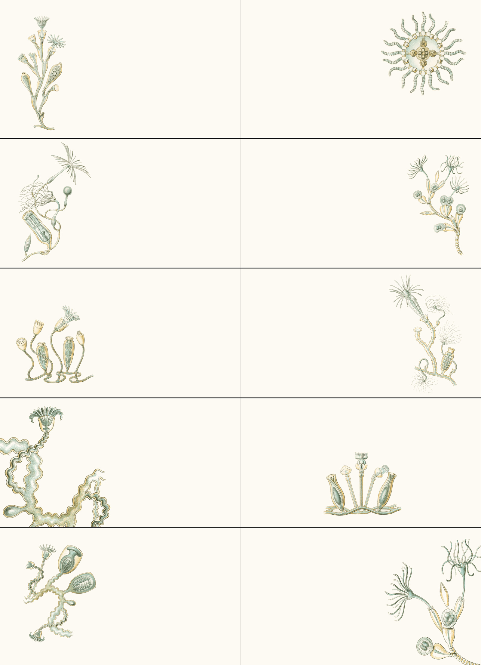 Art Forms in Nature, Labels Sticker & Tapes - 15