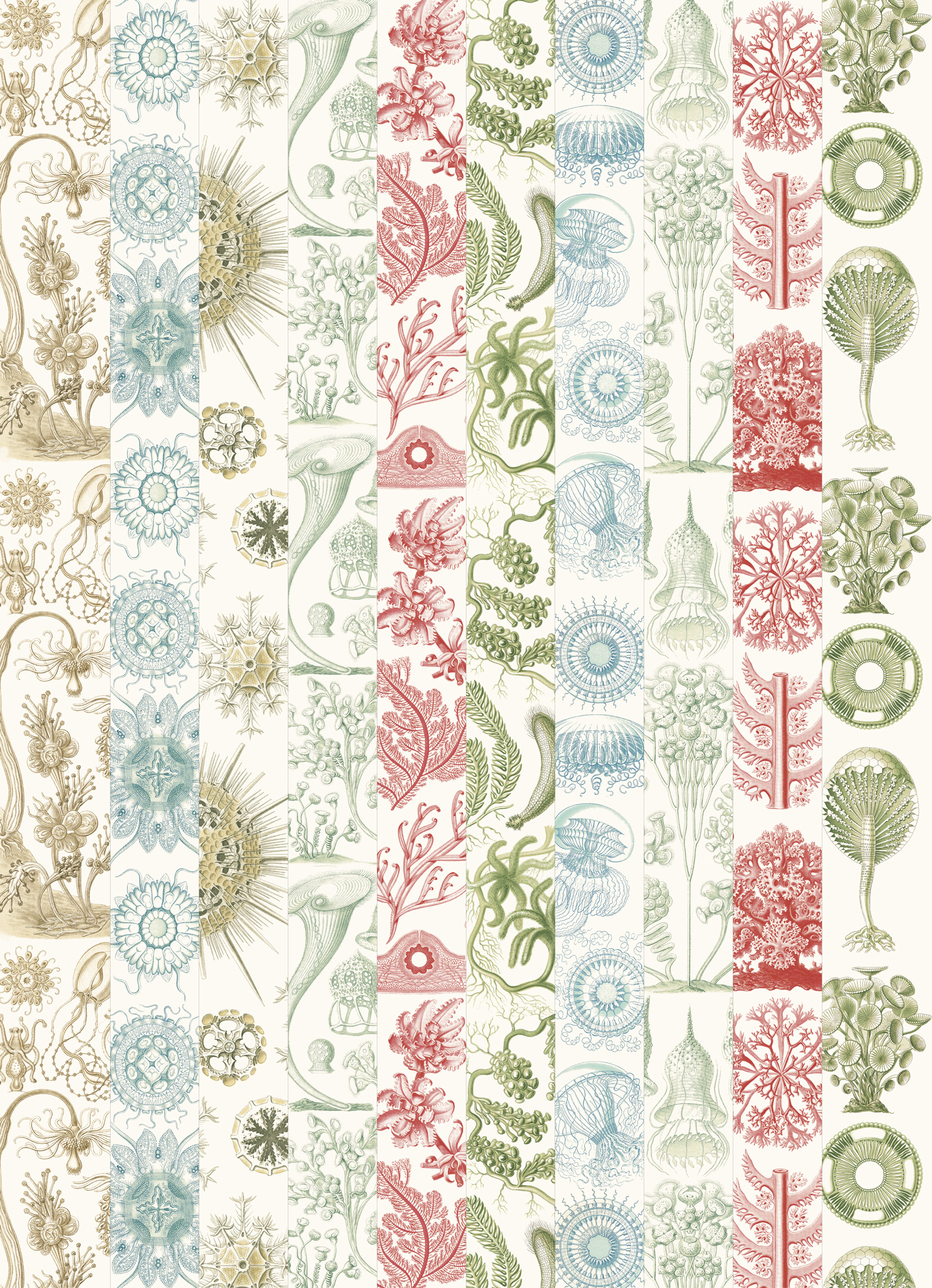 Art Forms in Nature, Labels Sticker & Tapes - 6