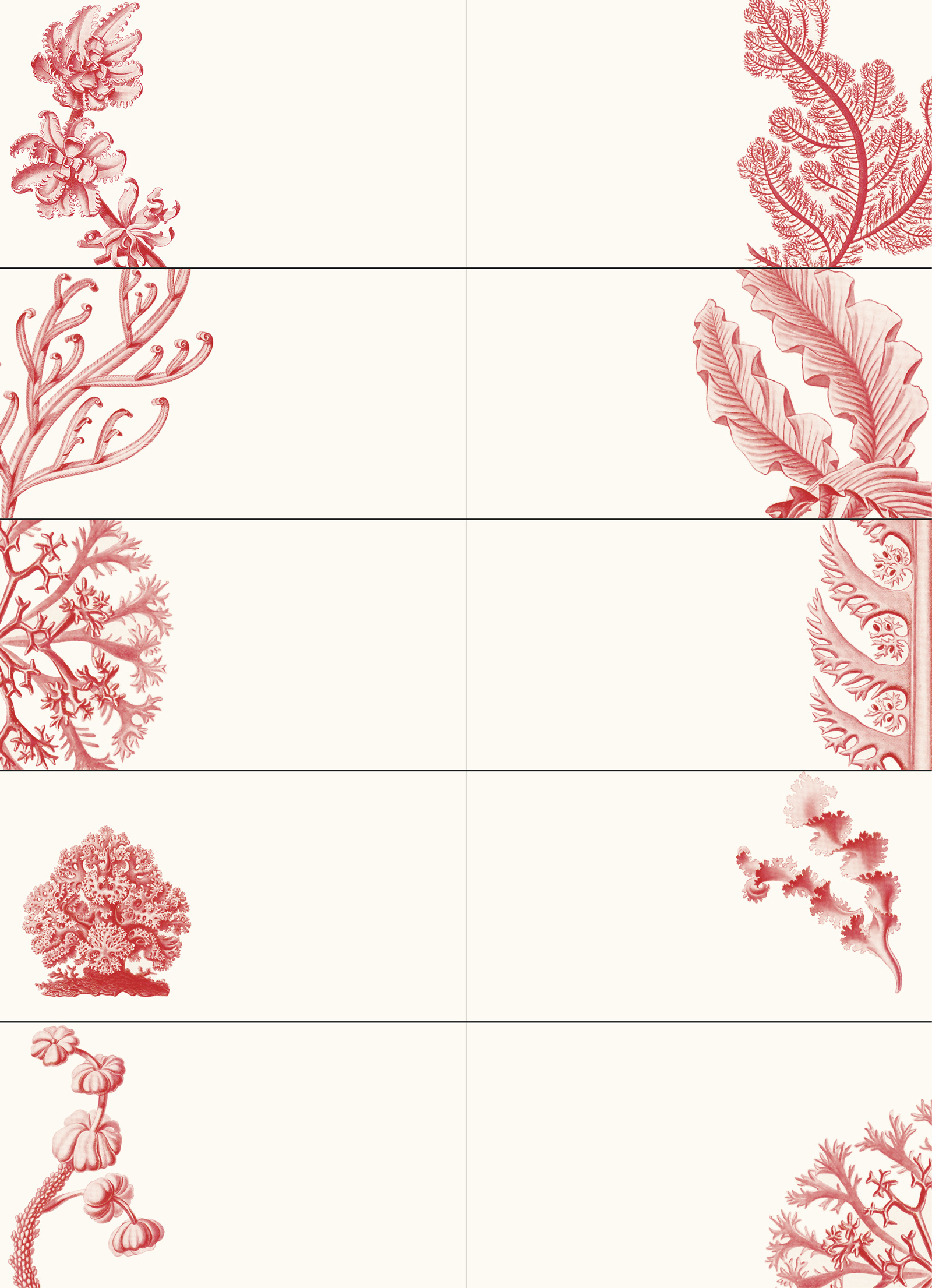 Art Forms in Nature, Labels Sticker & Tapes - 10