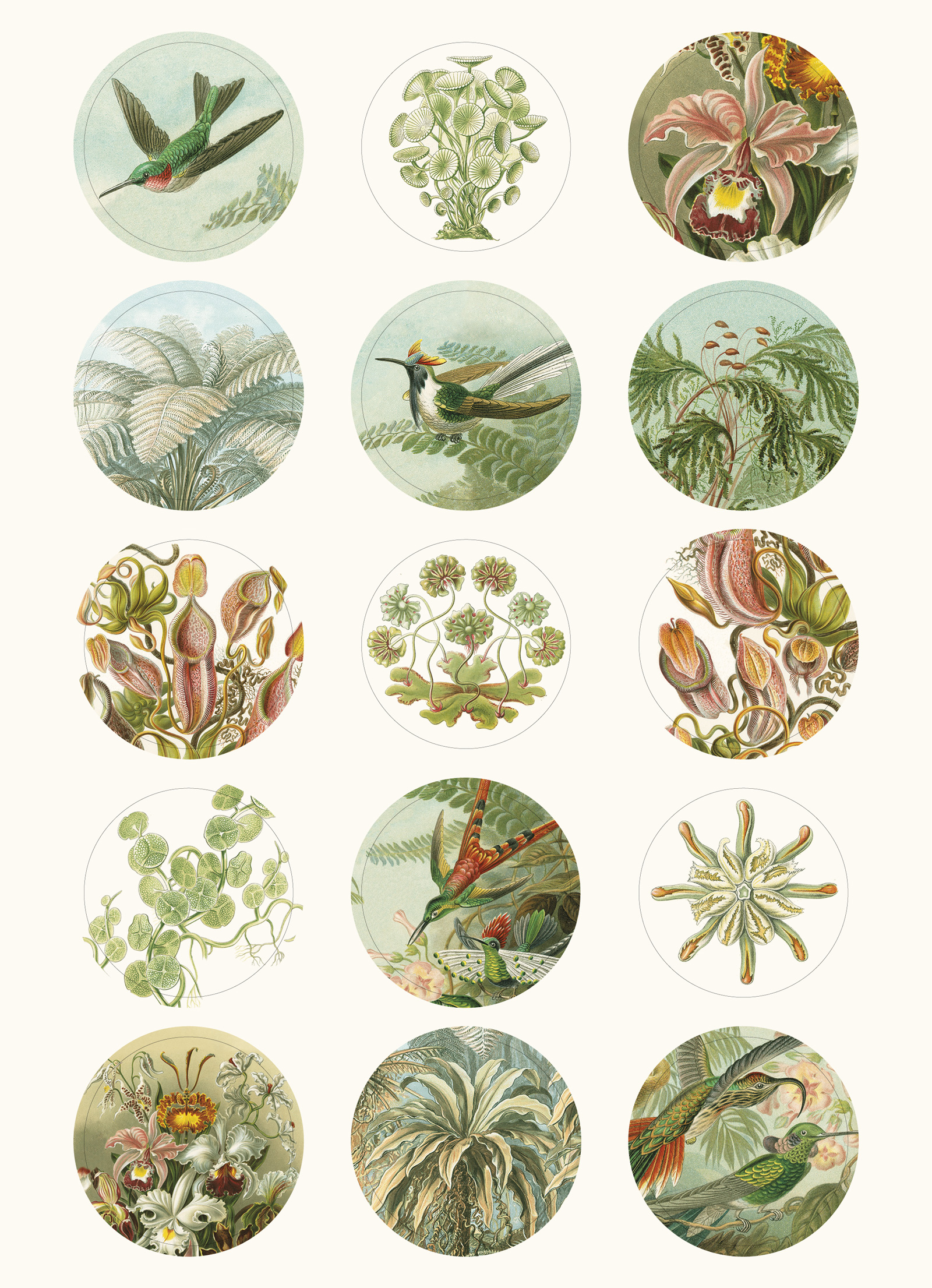 Art Forms in Nature, Labels Sticker & Tapes - 2