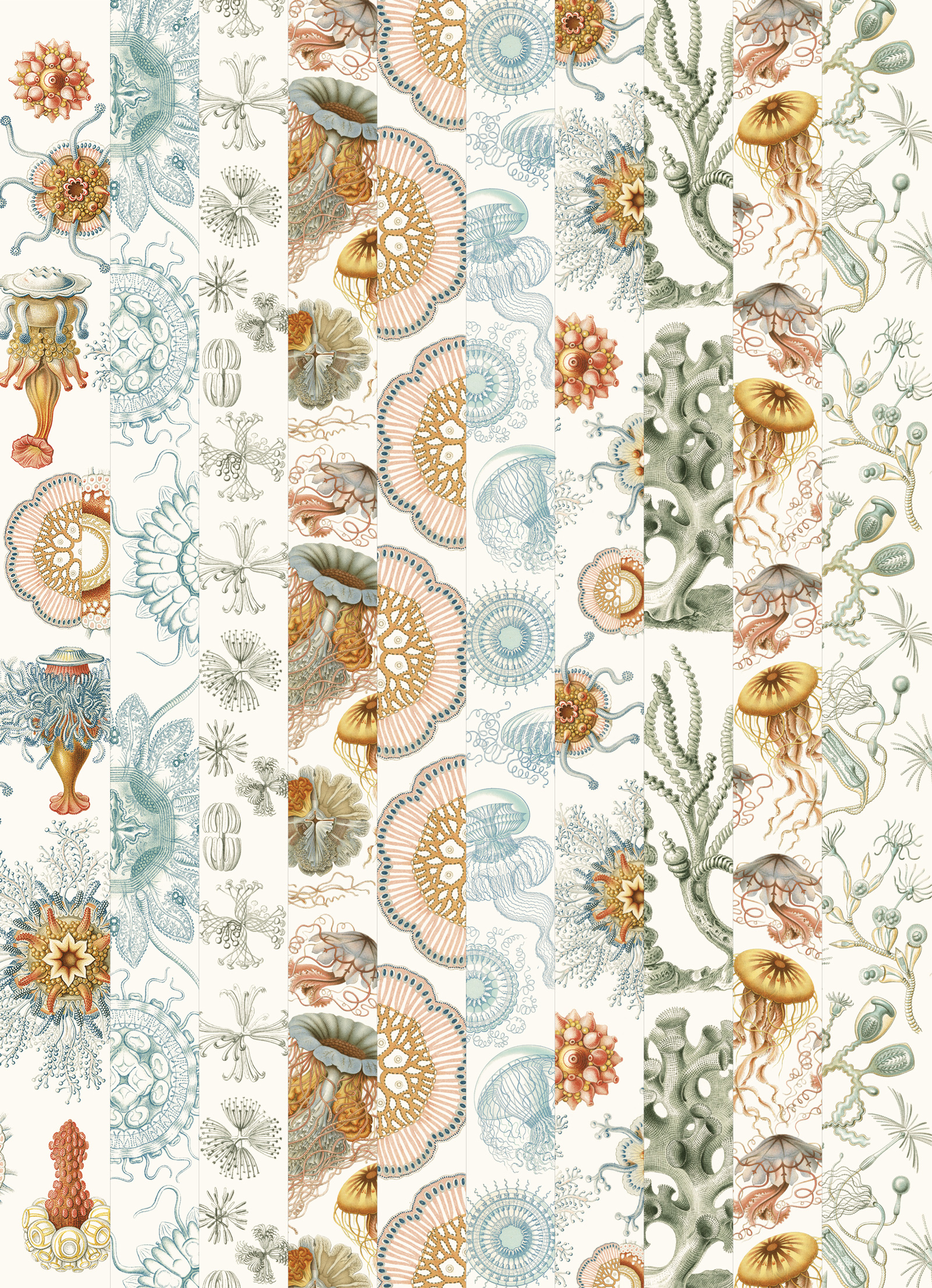 Art Forms in Nature, Labels Sticker & Tapes - 5
