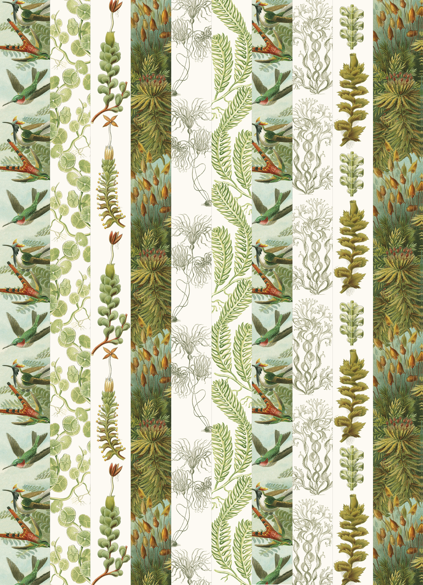 Art Forms in Nature, Labels Sticker & Tapes - 3