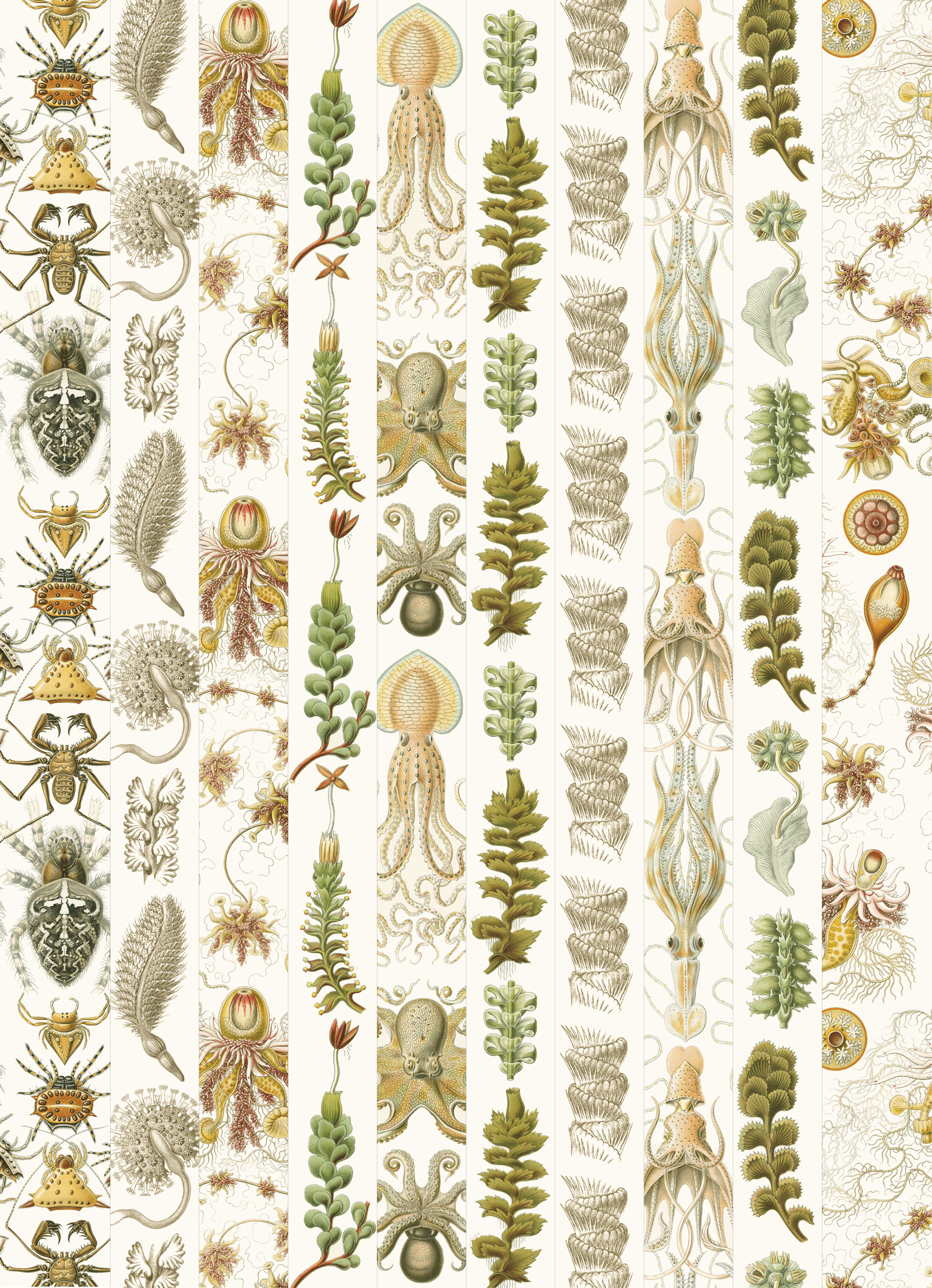 Art Forms in Nature, Labels Sticker & Tapes - 4