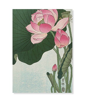 Blooming Lotus, Ohara Koson, Greeting Card