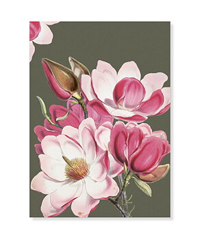 Magnolia, Greeting Card