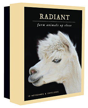 Radiant Notecards: Farm Animals Up Close