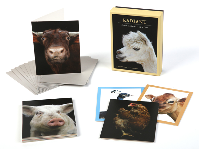 Radiant Notecards: Farm Animals Up Close - 2