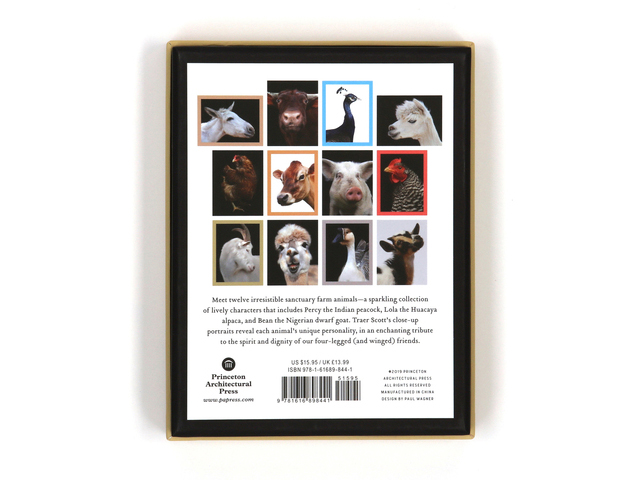 Radiant Notecards: Farm Animals Up Close - 7