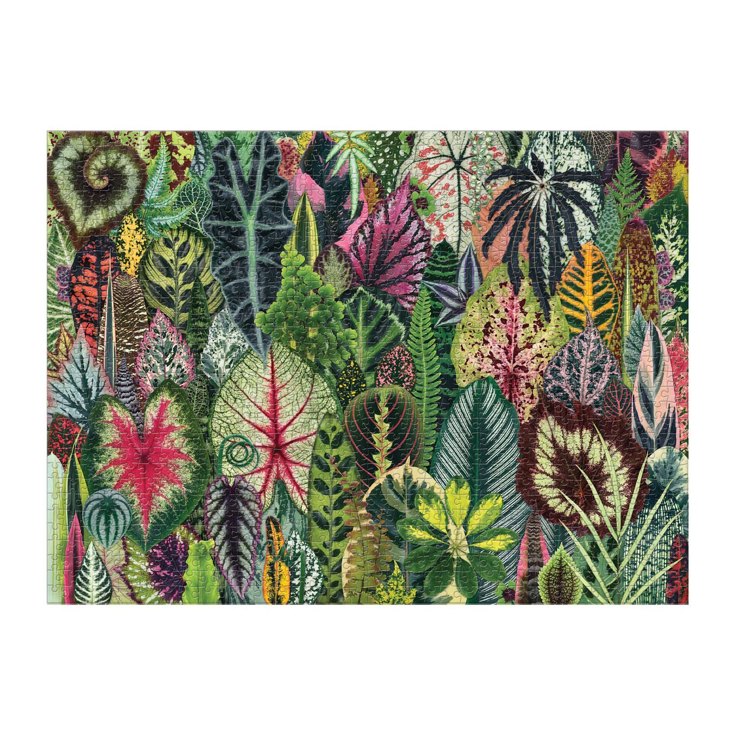 Houseplant Jungle 1000pc Puzzle - 3