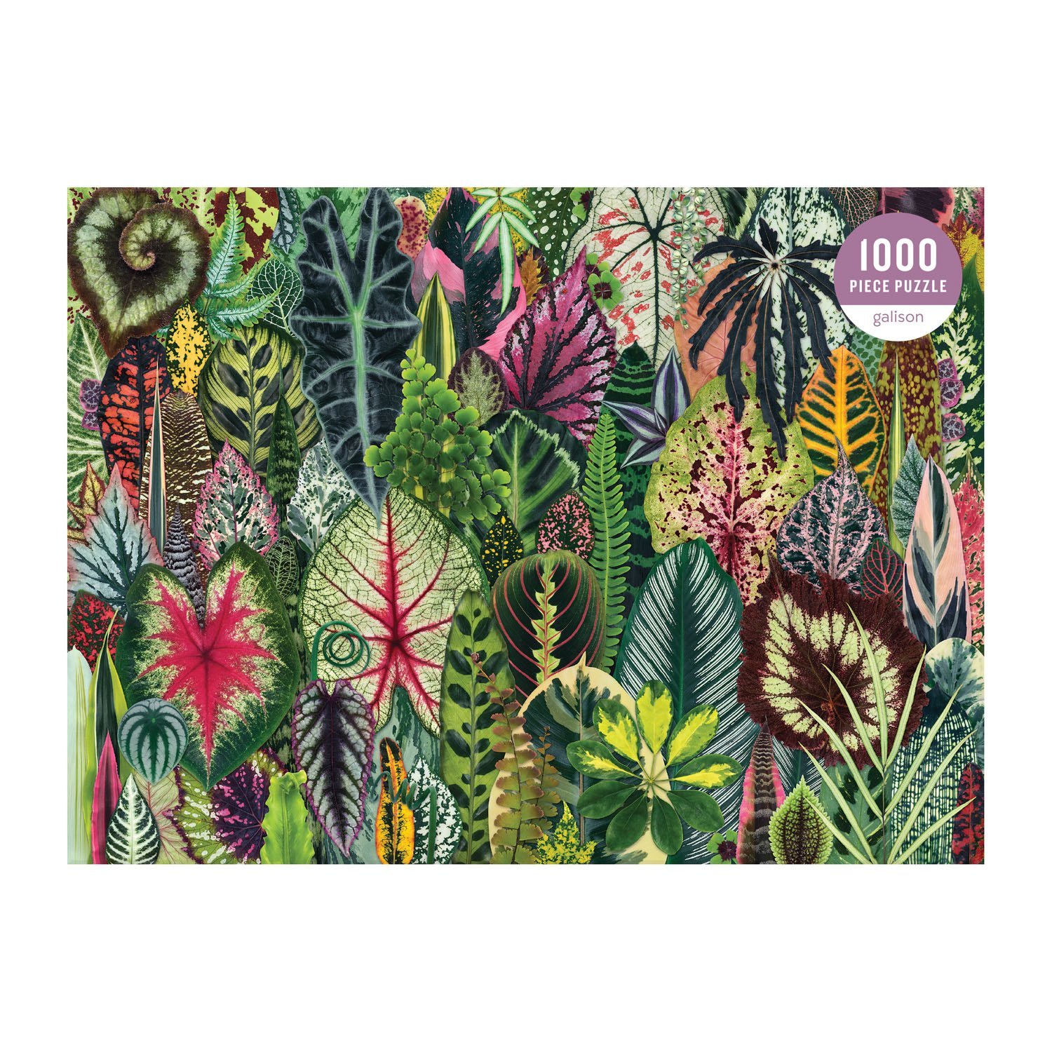 Houseplant Jungle 1000pc Puzzle - 2