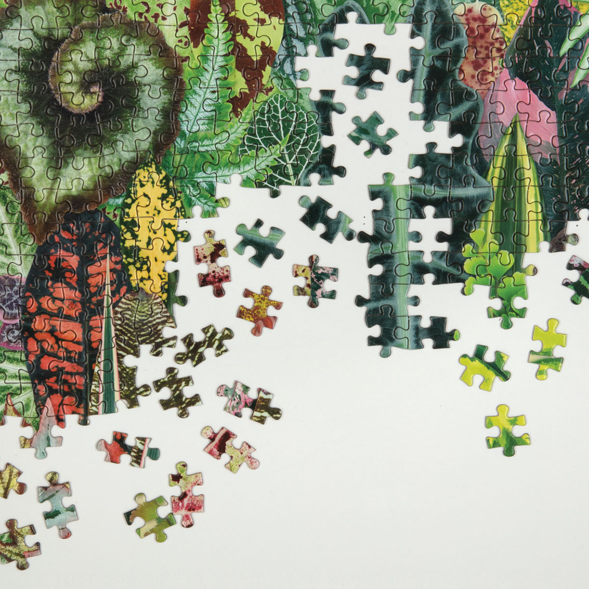 Houseplant Jungle 1000pc Puzzle - 4