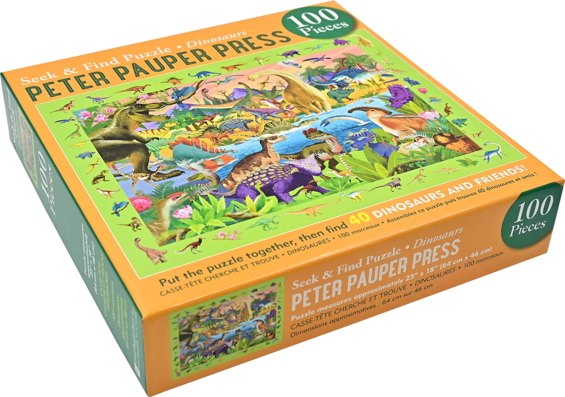 Seek & Find Puzzle Dinosaurs - 4
