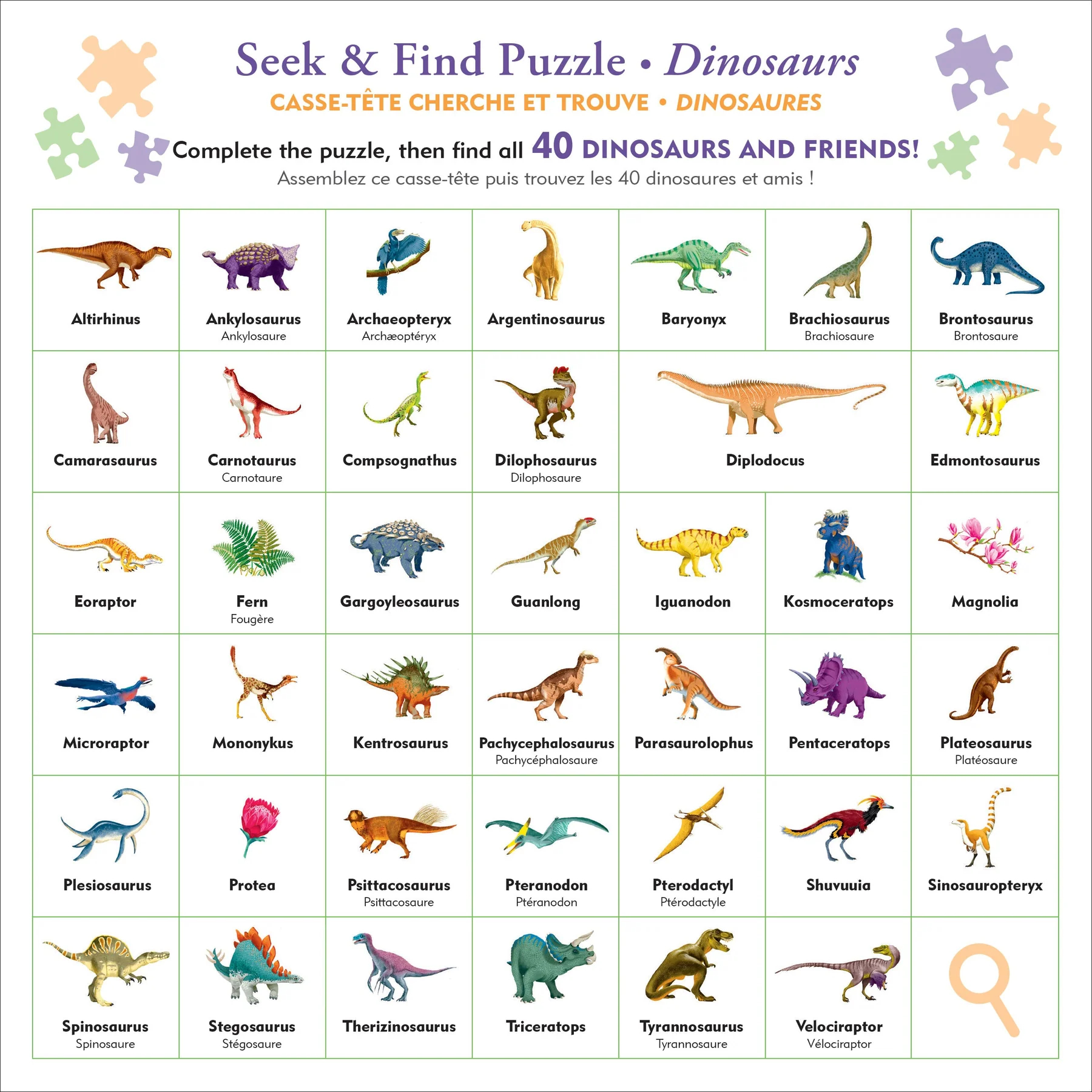 Seek & Find Puzzle Dinosaurs - 3