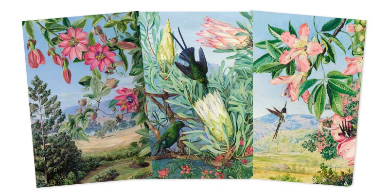 Kew Gardens: Marianne North Set of 3 Midi Notebooks - 2