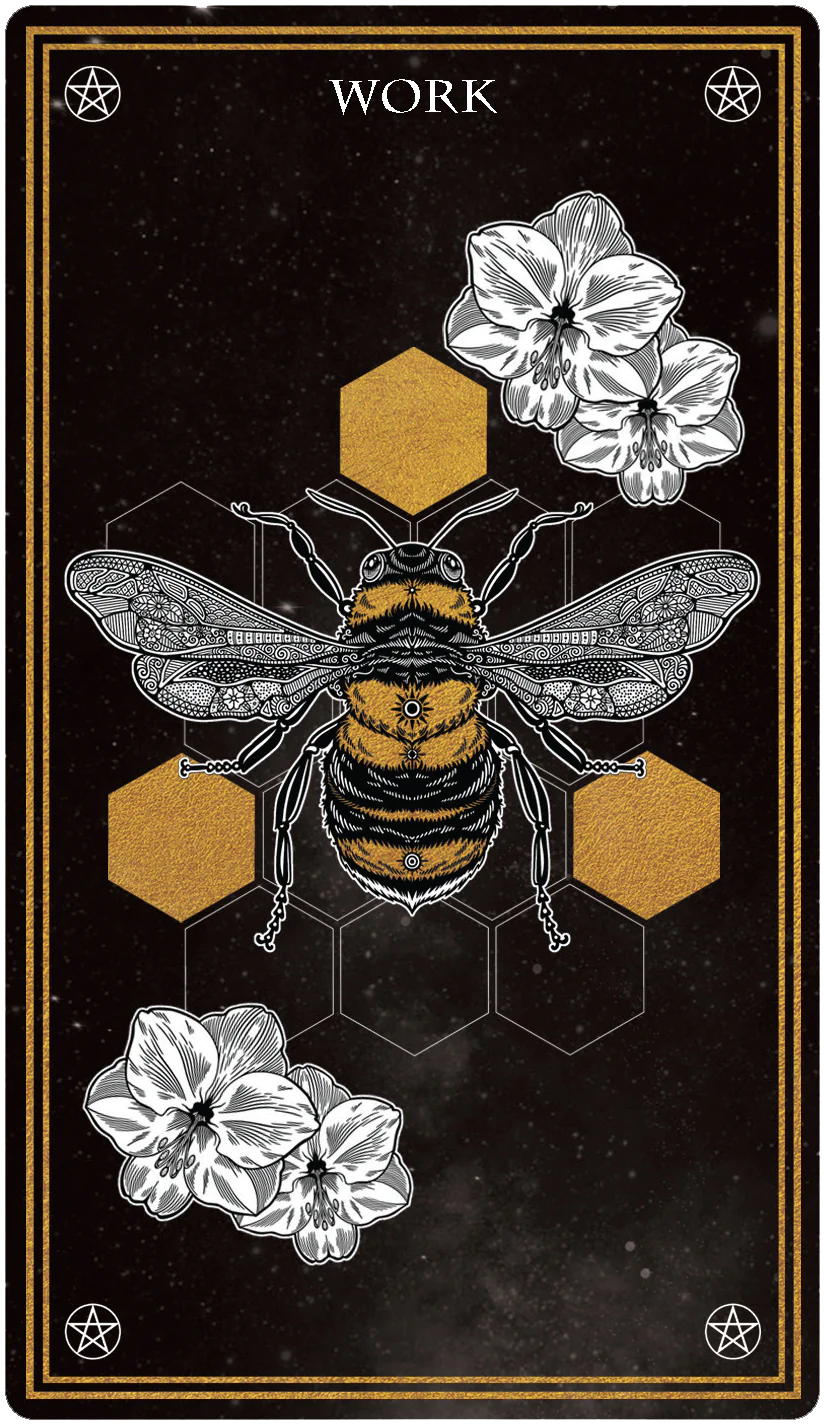Wild Mystic Oracle Card Deck - 4