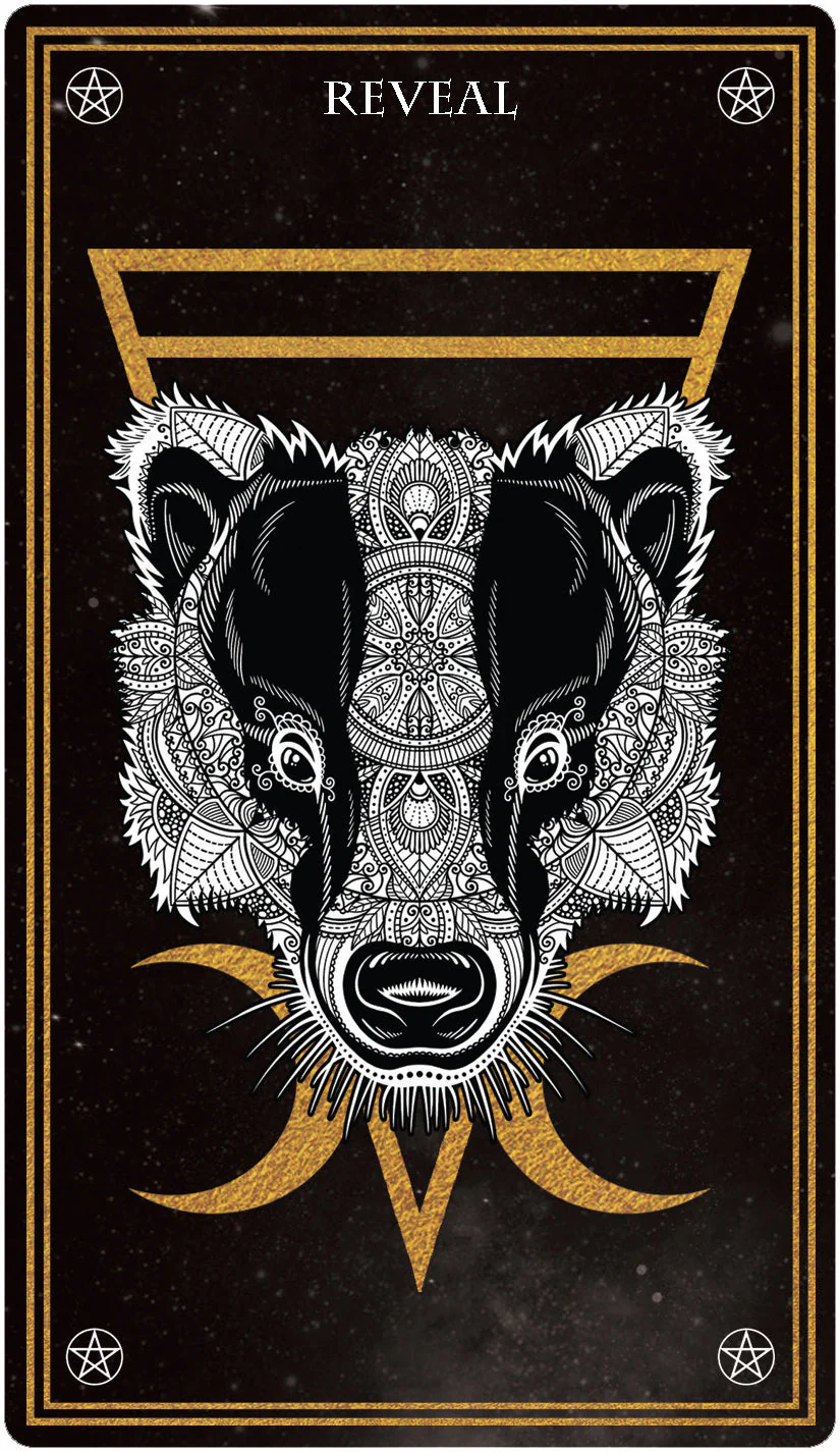 Wild Mystic Oracle Card Deck - 5