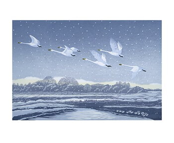 Snow Flight, Greeting Card