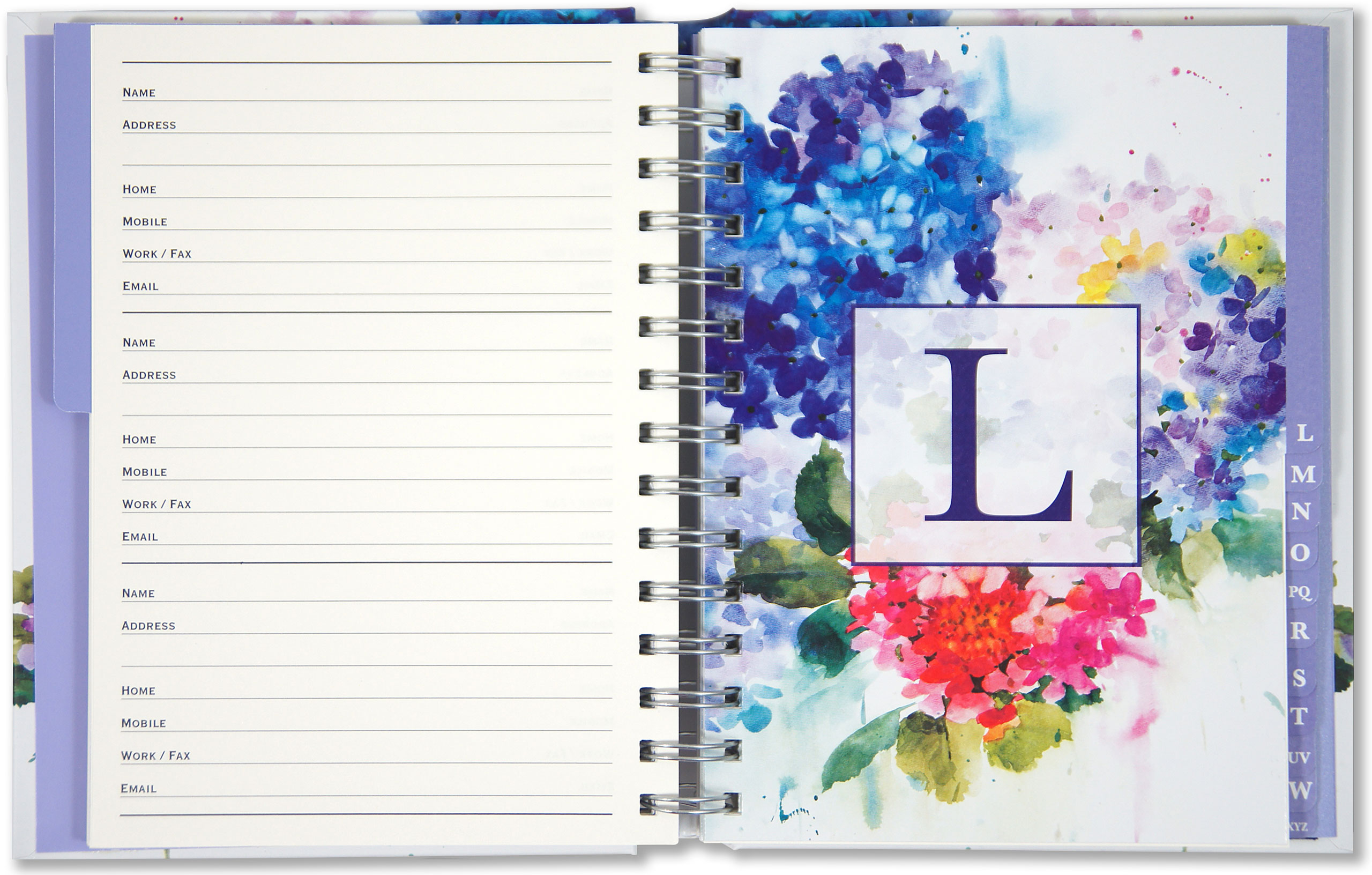 Large Address Book Hydrangeas - 2