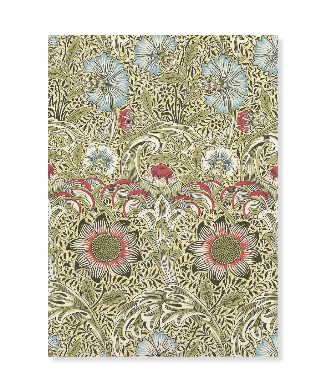 Corncockle, William Morris, Postcard