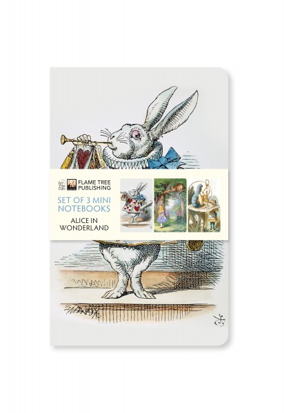John Tenniel: Alice and the Cheshire Cat (Blank Sketch Book) - Flame Tree  Publishing
