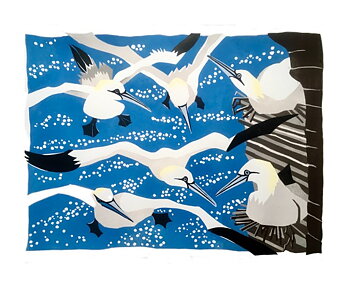 Westray Gannets, Greeting Card 