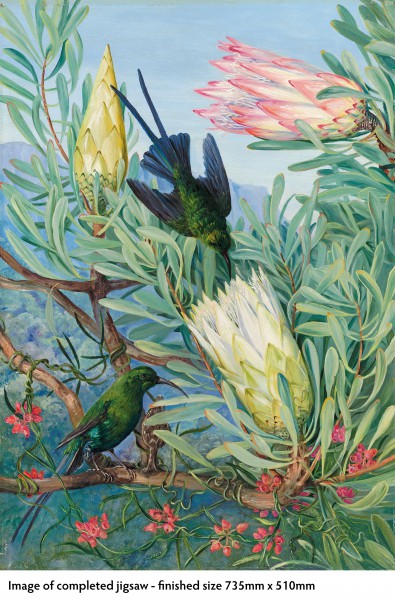 Kew Gardens' Marianne North: Honeyflowers and Honeysuckers	, 1000-piece jigsaws - 4