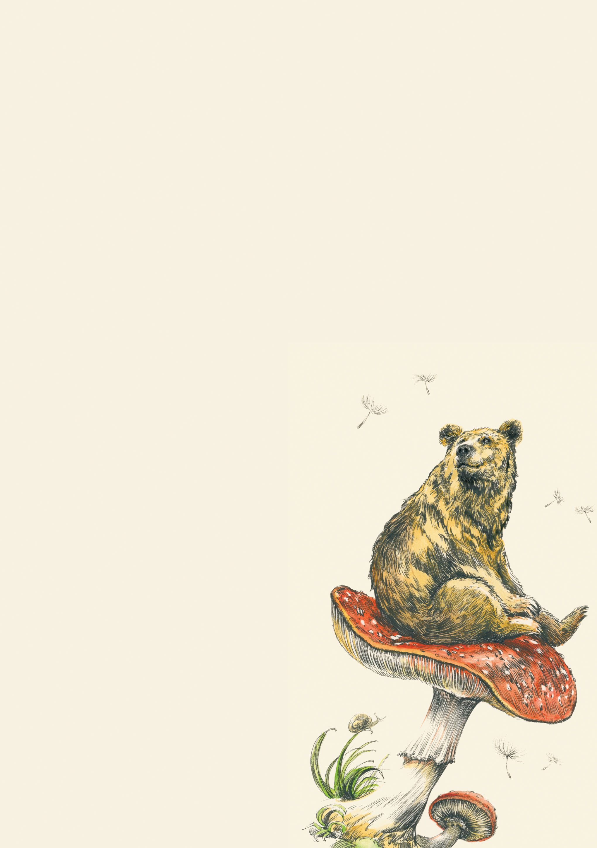 Flying Bear Writing Paper Set - 5