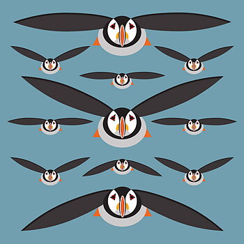 Puffins, Everyday Single Card