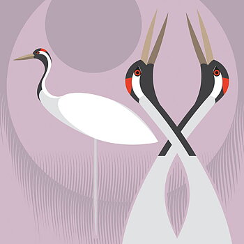 Common Crane, Everyday Single Card