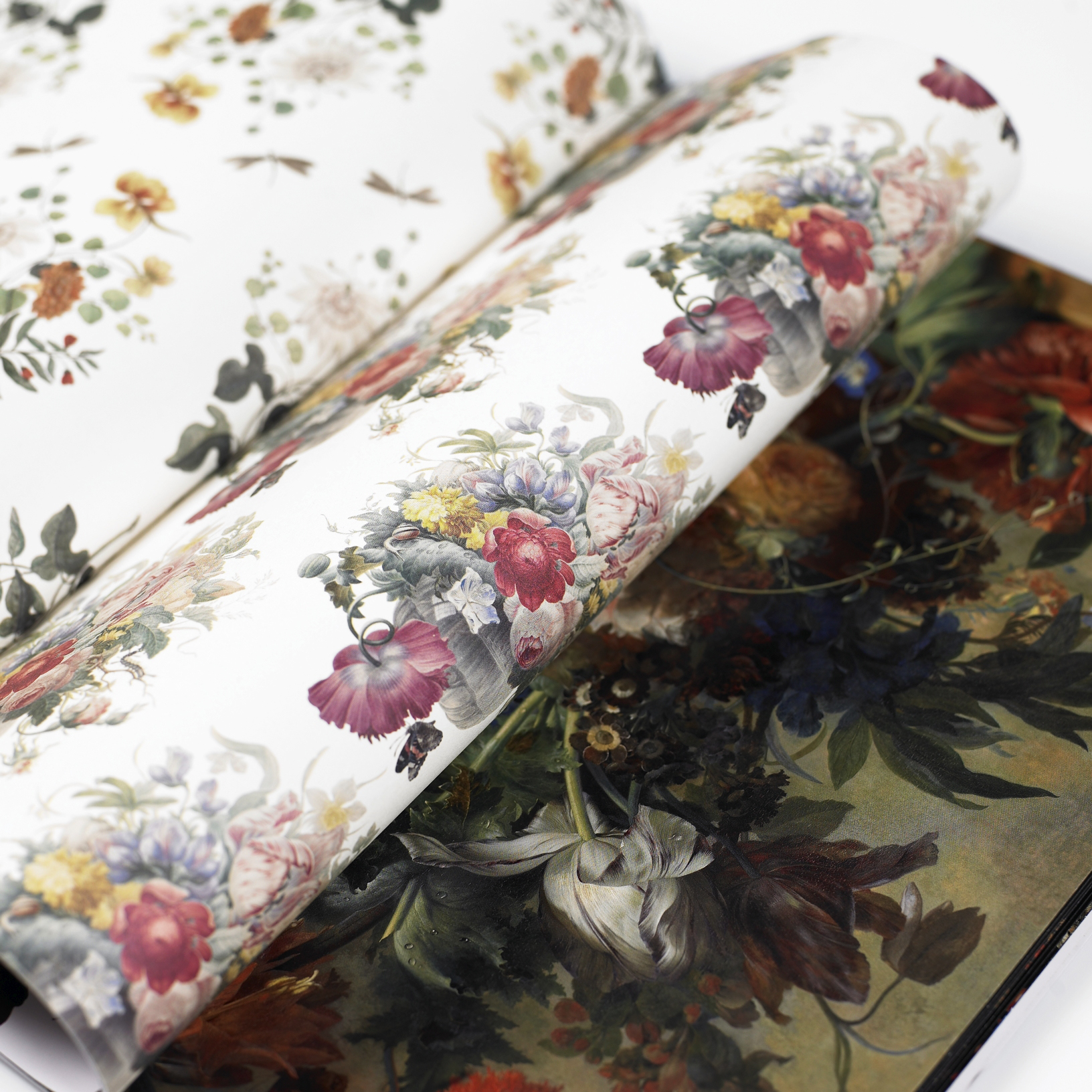 StillLife, Gift & Creative Paper Book - 3