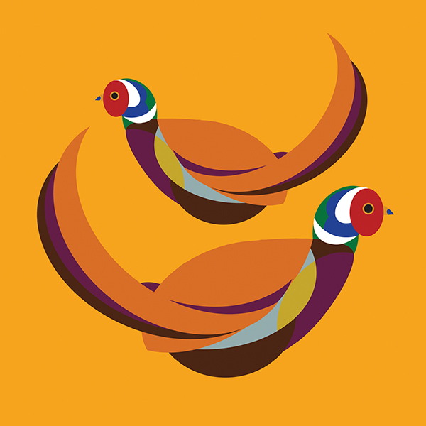 Pheasant, Everyday Single Card