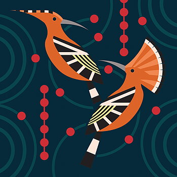 Hoopoe, Everyday Single Card