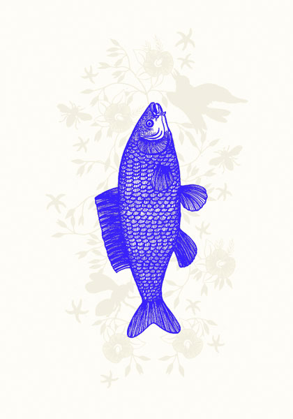 Fish Blue, Everyday Single Card