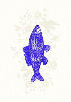 Fish Blue, Everyday Single Card