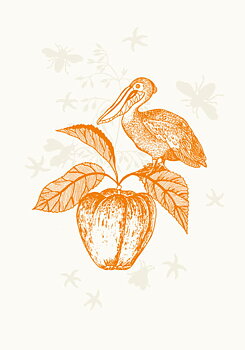 Pelican Orange, Everyday Single Card