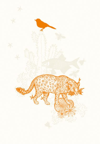 Lynx Orange, Everyday Single Card