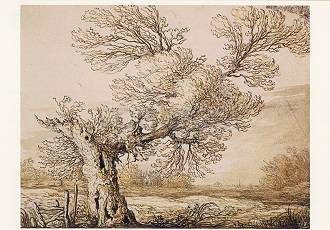 Landscape near Dordrecht, Postcard