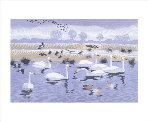 Seven Swans, Greeting Card