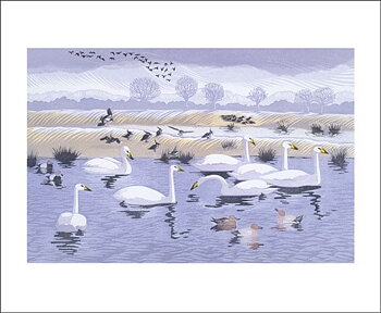 Seven Swans, Greeting Card
