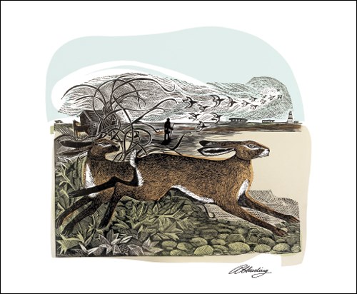 NC A.Harding/Hares at Oxford Ness