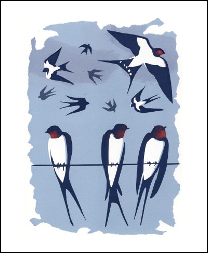 NC C.Akroyd/Swallows