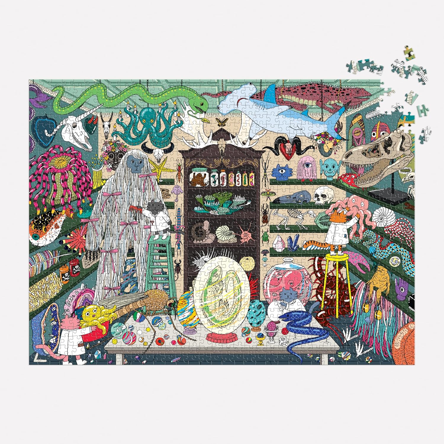 World of Curiosities 1000 Piece Puzzle - 3