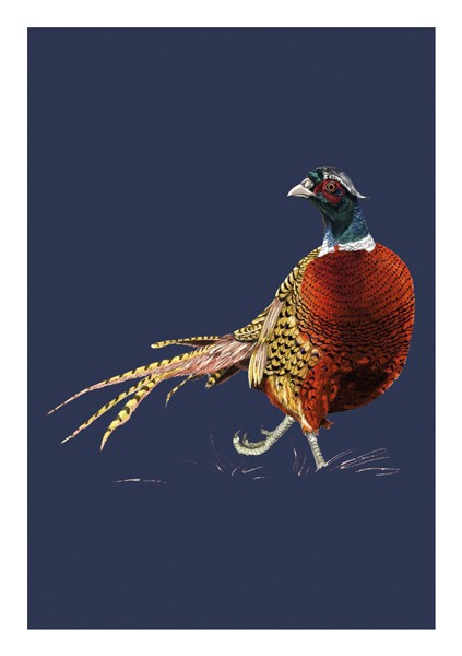 Pheasant, Everyday Single Card
