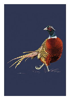 Pheasant, Everyday Single Card