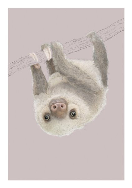 Two Toed Sloth, Everyday Single Card