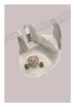 Two Toed Sloth, Everyday Single Card
